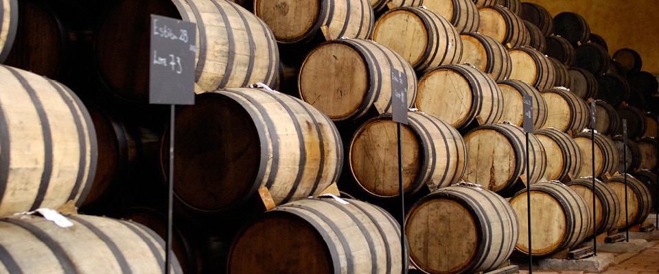 American and European Oak barrels: photo courtesy of Vida Tequila