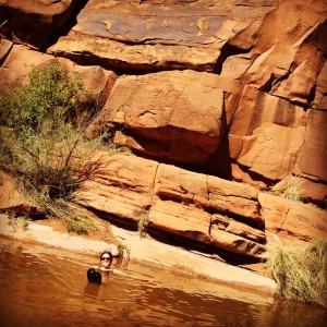 woman goes for a swim in a swimming hole surrounded by red rock