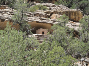 Among the various campaigns being conducted by the Great Old Broads for Wilderness is about protecting slick rock canyon country and forested sky islands in the public lands of San Juan County in southeastern Utah. 