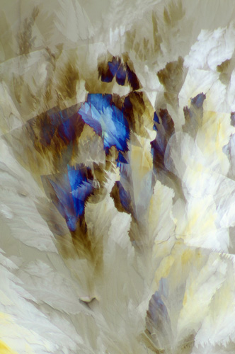 Crystalline resveratrol (found in wine)