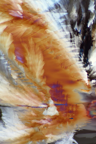 Crystalline resveratrol (found in wine)