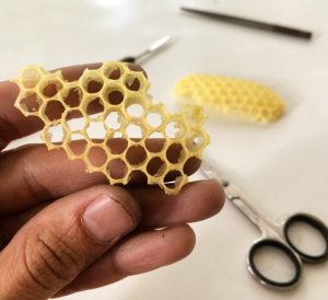 honeycomb beginnings