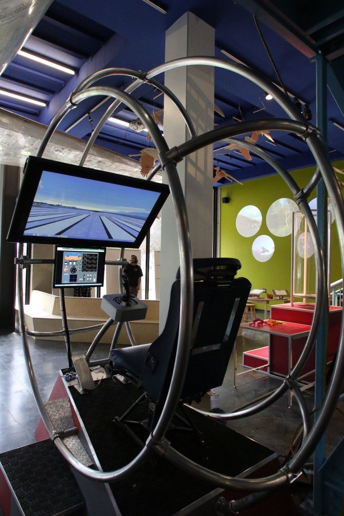 flight simulator