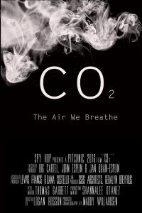 co2-1