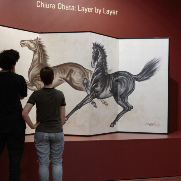 Layer by Layer: An extraordinary look into the creation and…