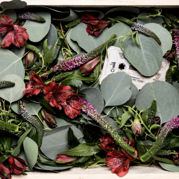 The compelling political power of remembrance: Fazilat Soukhakian: Under the…