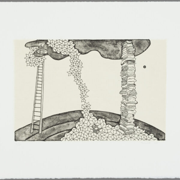 Impressively harmonious artistic manifesto propels Storywork: The Prints of Marie Watt from the Collections of Jordan D. Schnitzer and His Family Foundation exhibition at the Utah Museum of Fine Arts
